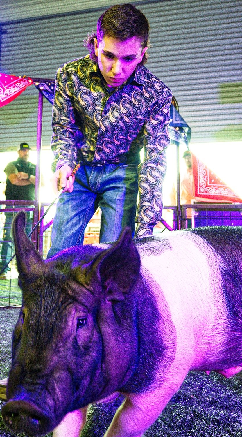 Brody Busby of Winnsboro shows the hog he bred during the auction Friday, after having won the intermediate swine showmanship title Wednesday. [see many more show moments]